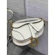 Christian Dior Mini Saddle Bag with Strap M0456