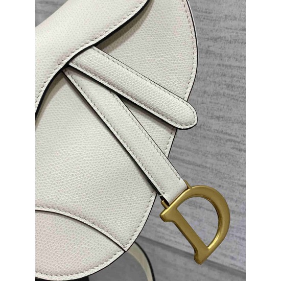 Christian Dior Mini Saddle Bag with Strap M0456