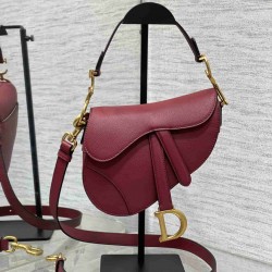 Christian Dior Mini Saddle Bag with Strap M0456