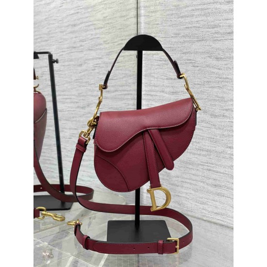 Christian Dior Mini Saddle Bag with Strap M0456