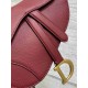 Christian Dior Mini Saddle Bag with Strap M0456