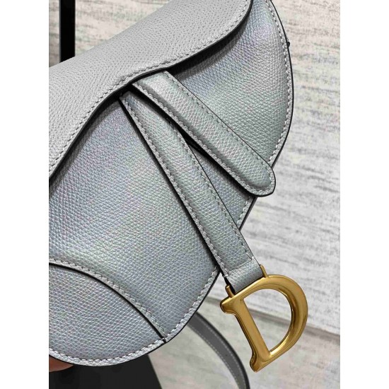 Christian Dior Mini Saddle Bag with Strap M0456