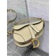 Christian Dior Mini Saddle Bag with Strap M0456