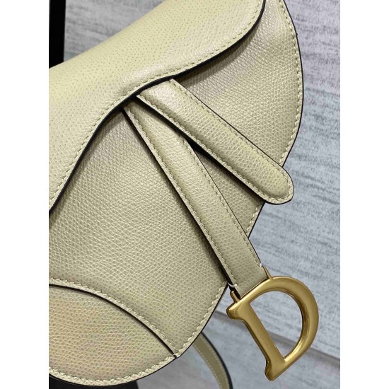 Christian Dior Mini Saddle Bag with Strap M0456