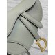 Christian Dior Mini Saddle Bag with Strap M0456