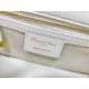 Christian Dior Small Dior Caro Bag M9241