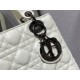 Christian Dior Small Lady Dior Bag   M0531