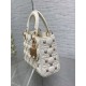 Christian Dior Small Lady Dior Bag   M0531