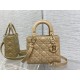 Christian Dior Small Lady Dior Bag   M0531