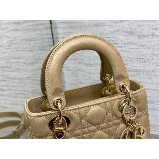 Christian Dior Small Lady Dior Bag   M0531