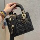 Christian Dior Small Lady Dior Bag   M0531