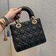 Christian Dior Small Lady Dior Bag   M0531