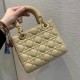 Christian Dior Small Lady Dior Bag   M0531