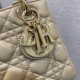 Christian Dior Small Lady Dior Bag   M0531