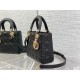 Christian Dior Small Lady Dior Bag   M0531