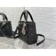 Christian Dior Small Lady Dior Bag   M0531