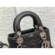 Christian Dior Small Lady Dior Bag   M0531