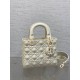 Christian Dior Small Lady Dior Bag   M0531