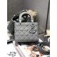 Christian Dior Small Lady Dior Bag   M0531