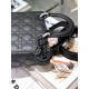 Christian Dior Small Lady Dior Bag   M0531