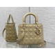 Christian Dior Medium Lady Dior Bag M0565