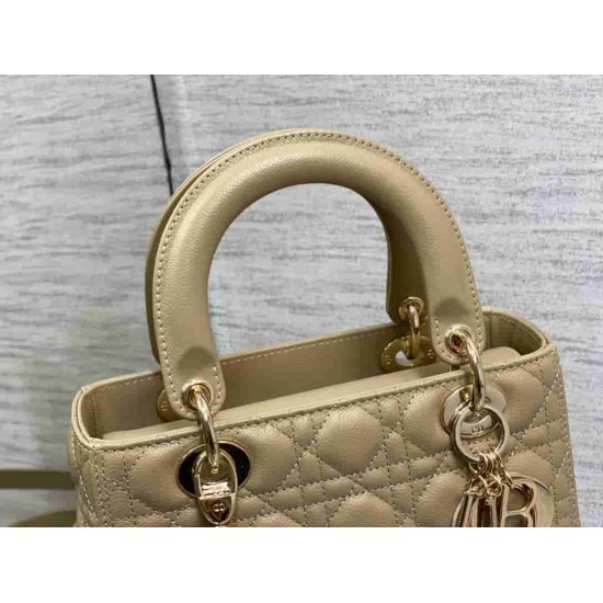 Christian Dior Medium Lady Dior Bag M0565