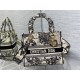 Christian Dior Medium Lady Dior Bag M0565