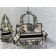 Christian Dior Medium Lady Dior Bag M0565