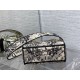 Christian Dior Medium Lady Dior Bag M0565