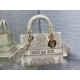 Christian Dior Medium Lady Dior Bag M0565