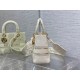 Christian Dior Medium Lady Dior Bag M0565