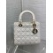 Christian Dior Medium Lady Dior Bag M0565