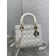 Christian Dior Medium Lady Dior Bag M0565