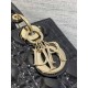 Christian Dior Medium Lady Dior Bag M0565