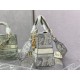 Christian Dior Medium Lady Dior Bag M0565