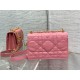 Christian Dior Miss Caro Mini Bag  S5169