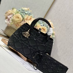 Christian Dior Medium Dior Toujours Bag M2821