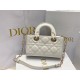 Christian Dior Lady D-Joy Micro Bag S0910