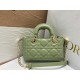 Christian Dior Lady D-Joy Micro Bag S0910