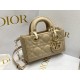 Christian Dior Lady D-Joy Micro Bag S0910