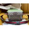 NEO VINTAGE GG SUPREME BELT BAG 493930