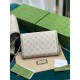 DIONYSUS MINI CHAIN WALLET 401231