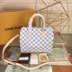 Louis Vuitton Speedy Bandoulière 25 N41374