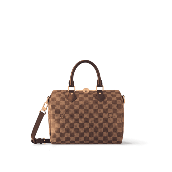 Louis Vuitton Speedy Bandoulière 25 N41368