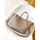 Louis Vuitton Blossom PM bag M23758