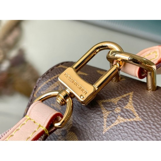 Louis Vuitton The Adorable Cluny Mini Handbag M46055