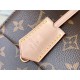 Louis Vuitton The Adorable Cluny Mini Handbag M46055