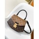 Louis Vuitton The Tilsitt handbag M46548