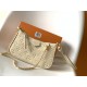 Louis Vuitton Easy Pouch On Strap bag M81066