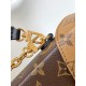 Louis Vuitton Camera Box bag M82465